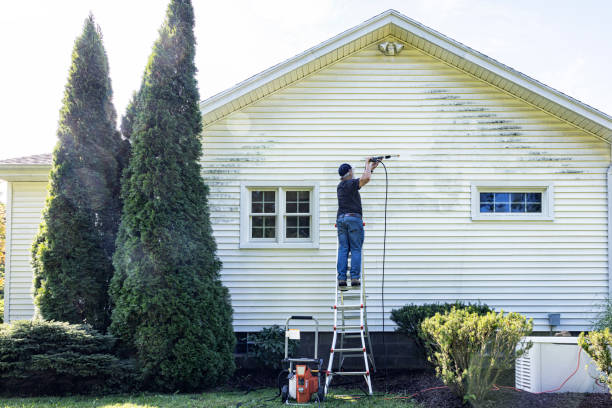 Best Garage Pressure Washing  in Wasilla, AK